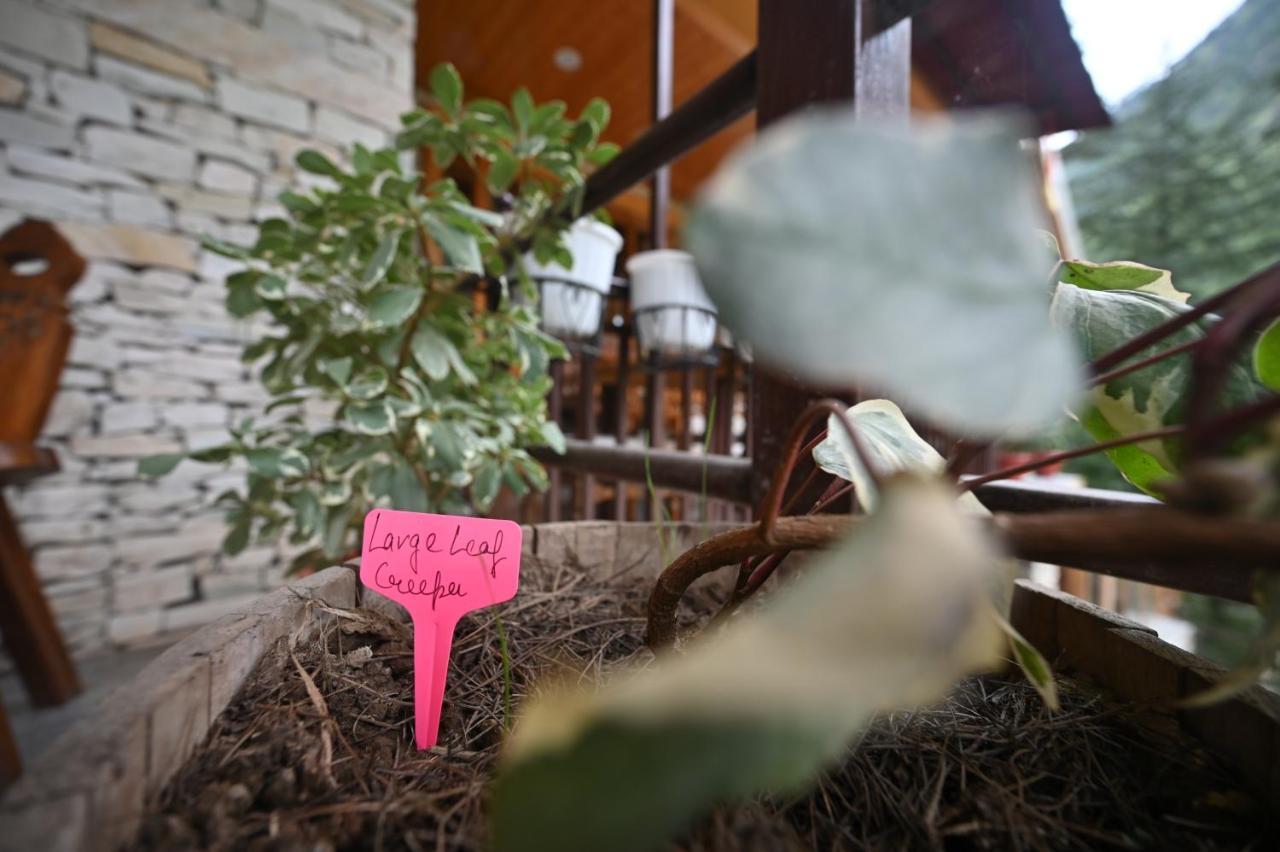 Hotel The Hillside Kasol Esterno foto